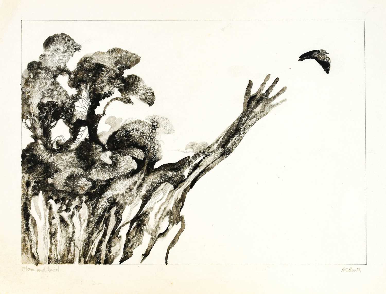 Lot 1054 - Raymond Booth (1929-2015) Tree study Signed