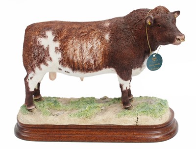 Lot 2106 - Border Fine Arts 'Beef Shorthorn Bull', model...