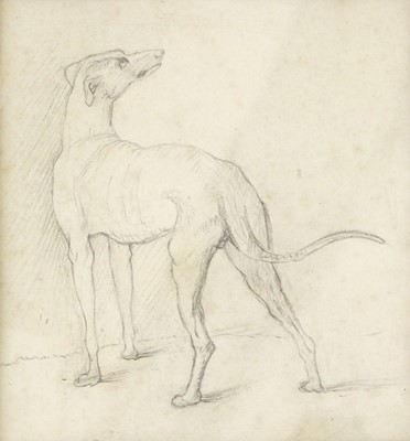 Lot 1153 - British School (20th century) Study of a...