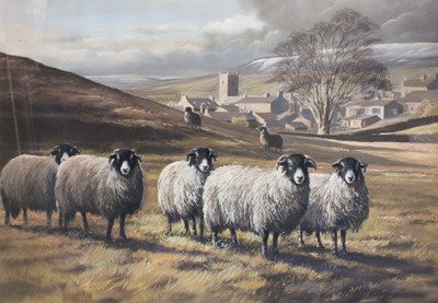 Lot 1101 - Robert Nicholls (Contemporary) "Sheep at...