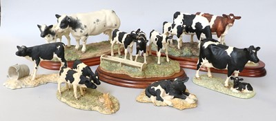 Lot 249 - Border Fine Arts Cattle Models, to include...