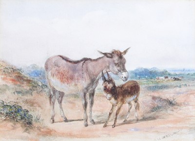 Lot 1115 - British School (19th century) Donkeys...