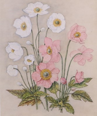 Lot 1191 - Harriett Fookes (19th/20th Century) "Anenome...