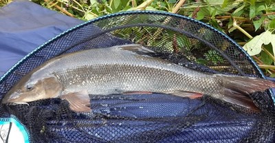 Lot 18 - Guided Coarse Fishing Day for Two Kindly...