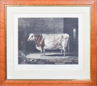 Lot 1054 - After Thomas Landseer ARA (1795-1880)...