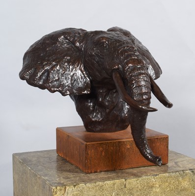 Lot 139 - Natural History Bronze: David Cemmick...