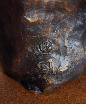 Lot 135 - Natural History Bronze: David Cemmick...
