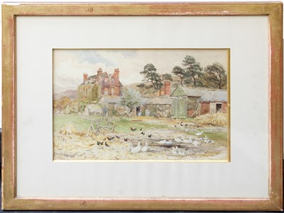 Lot 1159 - Albert Stevens (1863-1927) Chickens and ducks...