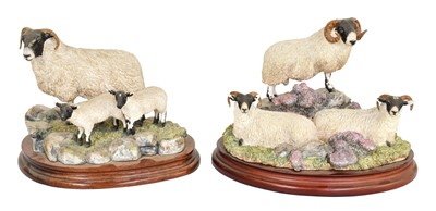 Lot 2113 - Border Fine Arts 'Blackie Tup and Ewes', model...