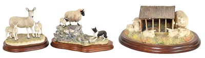 Lot 2141 - Border Fine Arts Sheep Groups Comprising:...