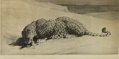 Lot 593 - Herbert Thomas Dicksee RE (1862-1942) Leopard...