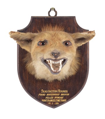 Lot 196 - Taxidermy: European Red Fox Mask (Vulpes...