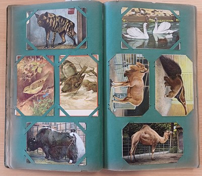 Lot 304 - Assorted Postcards. Approximately 945 cards in...