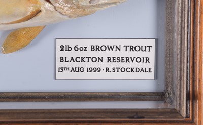 Lot 241 - Taxidermy: A Cased Brown Trout (Salmo trutta),...