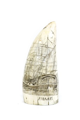 Lot 757 - Natural History: A Period Scrimshaw-Decorated...