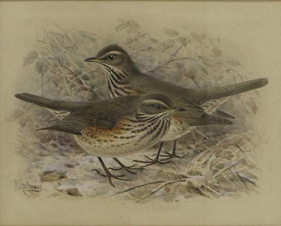 Lot 615 - Johannes Gerardus Keulemans (1842 - 1912)...