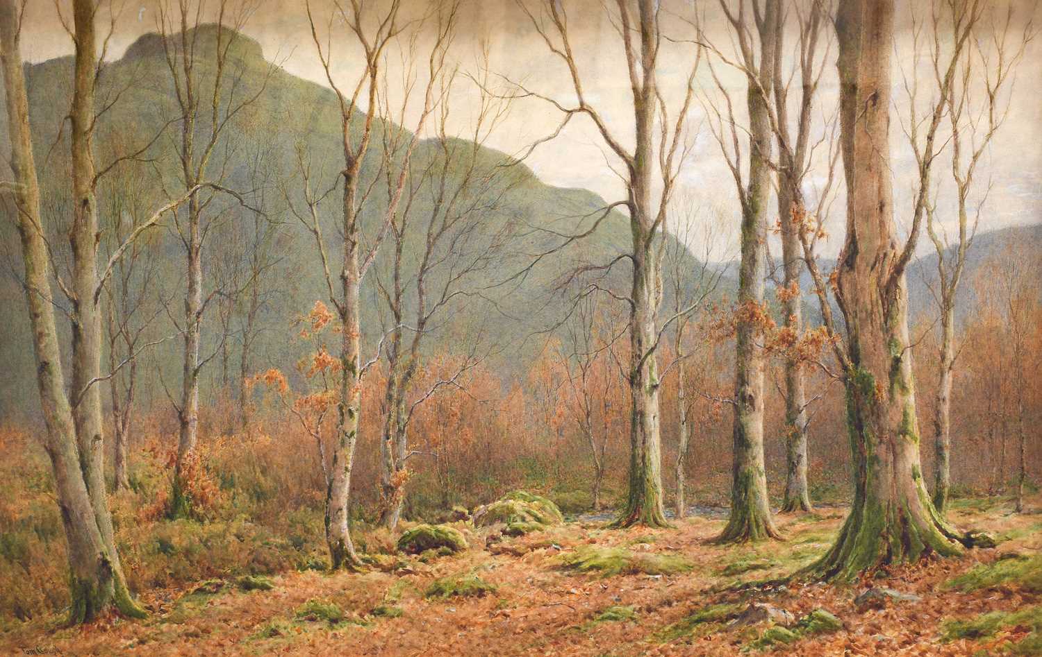 Lot 649 - Tom Clough RCA (1867–1943) "Woodland" Signed...