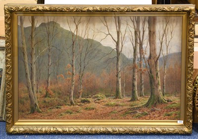 Lot 649 - Tom Clough RCA (1867–1943) "Woodland" Signed...