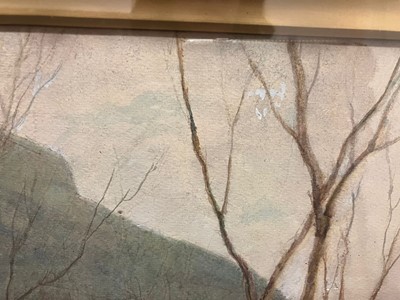 Lot 649 - Tom Clough RCA (1867–1943) "Woodland" Signed...