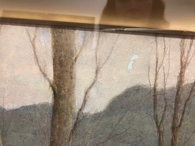 Lot 649 - Tom Clough RCA (1867–1943) "Woodland" Signed...