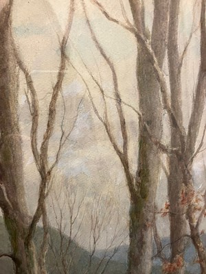 Lot 649 - Tom Clough RCA (1867–1943) "Woodland" Signed...