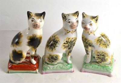 Lot 326 - A 19th century Staffordshire cat sat on a pillow with sponged decoration and two later examples