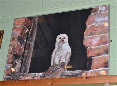 Lot 344 - Alex J Hall, barn owl with a mouse, signed with artist's monogram and dated (19)90, watercolour