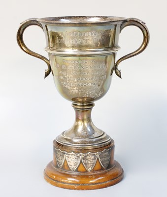 Lot 30 - A George V Silver Trophy Cup, by Harry Synyer...