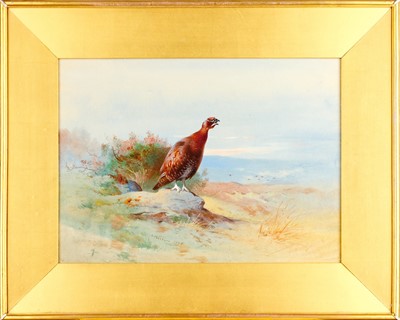 Lot 1060 - Attributed to Archibald Thorburn FZS...