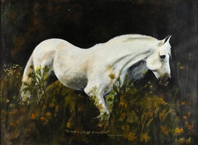 Lot 86 - Shirley Hirsch (Contemporary) "The Horse is...