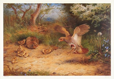 Lot 178 - After Archibald Thorburn FZS (1860-1935) A...