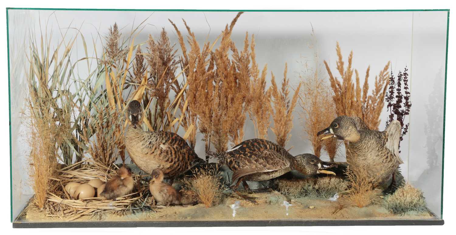 Lot 216 - Taxidermy: A Modern Cased Diorama of South...