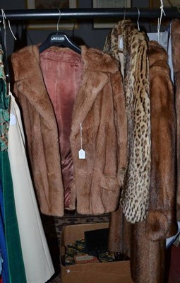 Lot 519 - Circa 1940-1945 ocelot fur jacket, fur coat and musquash jacket, three handbags and a 1950's...