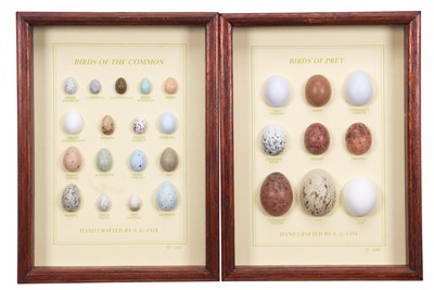 Lot 174 - Natural History: A Pair of Framed Collections...
