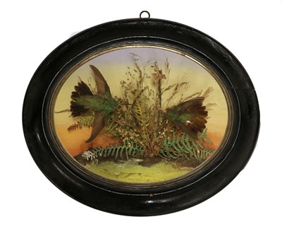 Lot 274 - Taxidermy: A Late Victorian Bubble Dome of...