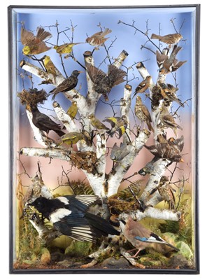 Lot 146 - Taxidermy: A Large Late Victorian Diorama of...