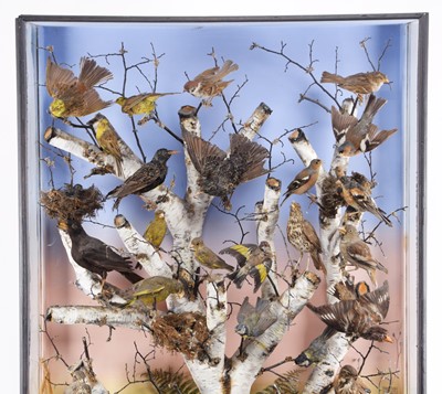 Lot 146 - Taxidermy: A Large Late Victorian Diorama of...