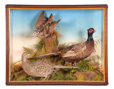 Lot 99 - Taxidermy: A Late Victorian Cased Pair of Ring-...