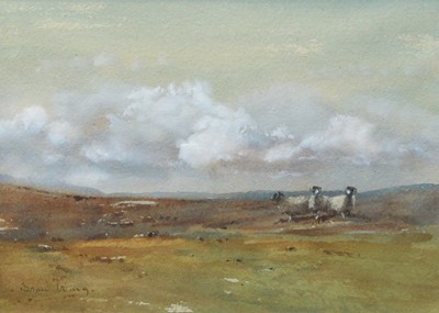 Lot 352 - Brian Irving (1931-2013) "Moorland Sheep"...