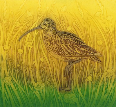 Lot 1091 - Hester Cox (Contemporary) "Curlew Summer"...