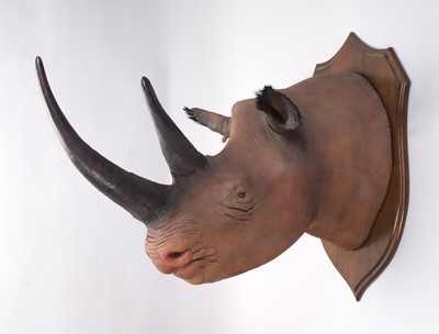 Lot 16 - Taxidermy: A Superb Recreation of a Black...