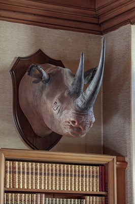 Lot 16 - Taxidermy: A Superb Recreation of a Black...