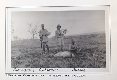 Lot 55 - Taxidermy: Uganda Kob (Kobus thomasi), circa...