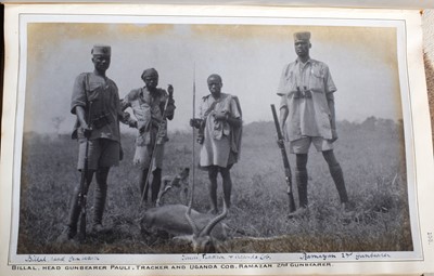 Lot 55 - Taxidermy: Uganda Kob (Kobus thomasi), circa...