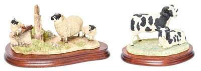 Lot 108 - Border Fine Arts 'Pair of Jacob Sheep'...
