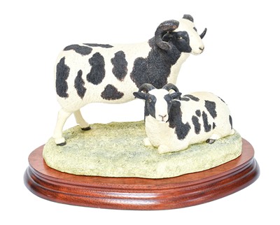 Lot 108 - Border Fine Arts 'Pair of Jacob Sheep'...