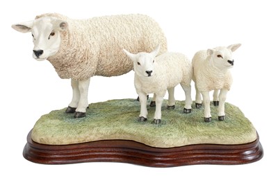 Lot 109 - Border Fine Arts 'Texel Ewe and Lambs' (Style...