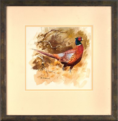 Lot 1058 - Rodger McPhail (b.1953) Cock pheasant in...