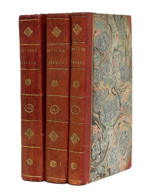 Lot 101 - Donovan (E.). The Natural History of British...