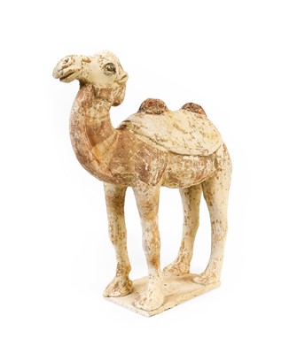 Lot 15 - A Chinese Terracotta Model of a Bactrian Camel,...